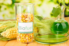 Berkley biofuel availability