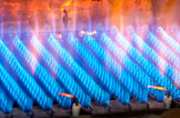 Berkley gas fired boilers
